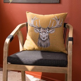 teoran -0000-1174-900x900